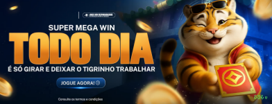 Termos e Condições